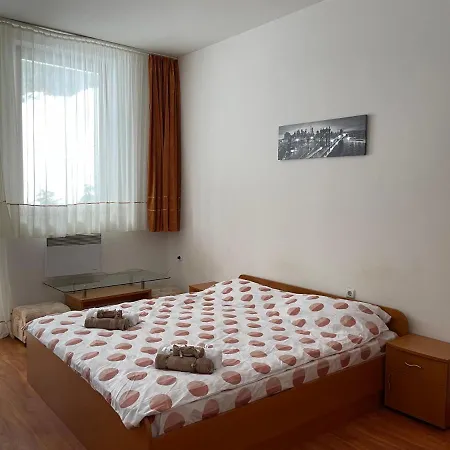 Studio Palace Apartment