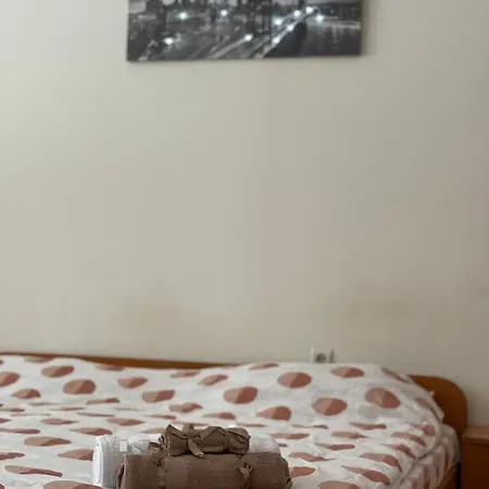 Studio Palace Apartment
