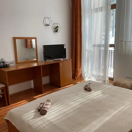 Apartment Studio Palace